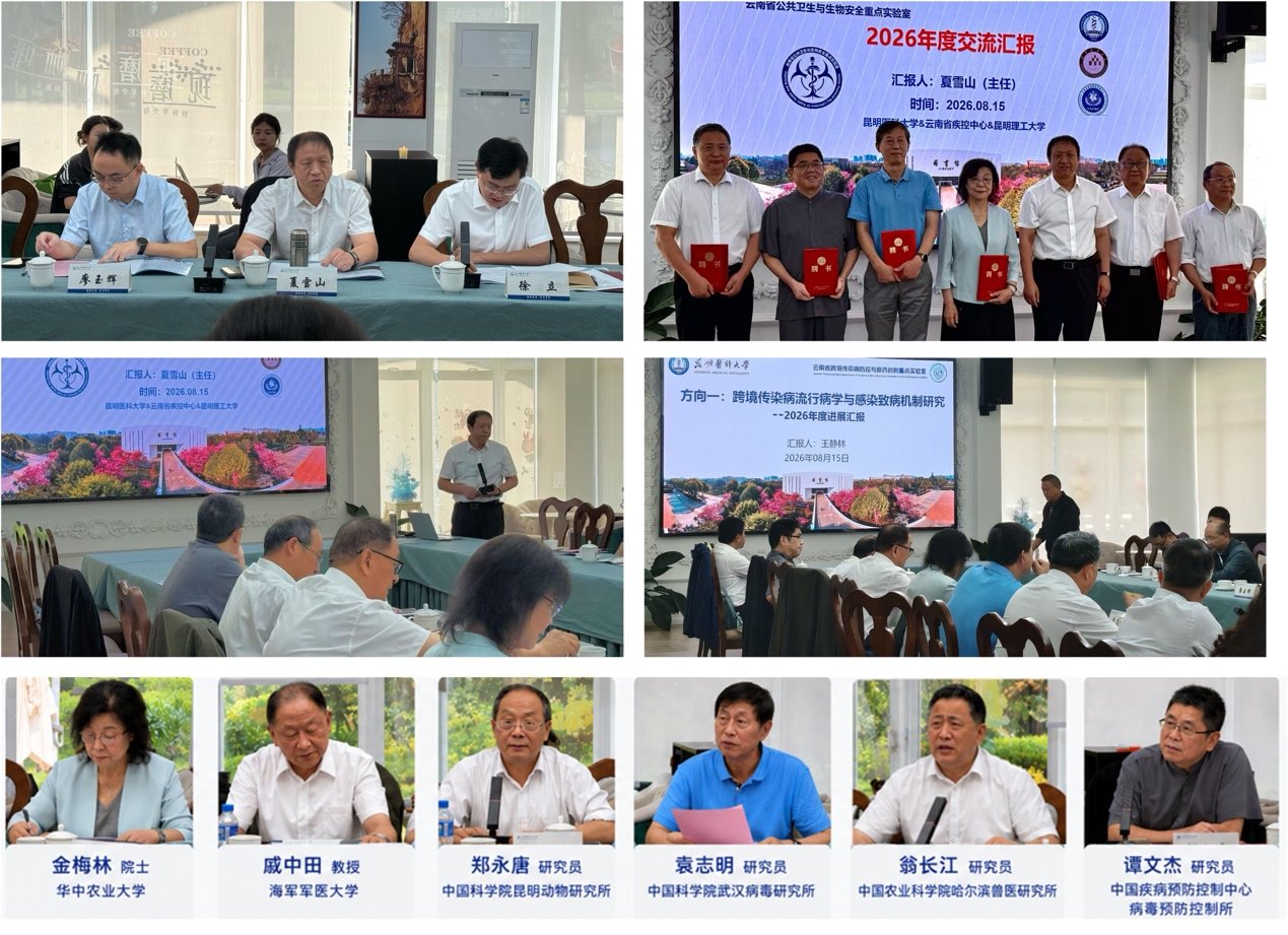 必赢体育平台客户端下载新手怎么玩省公
